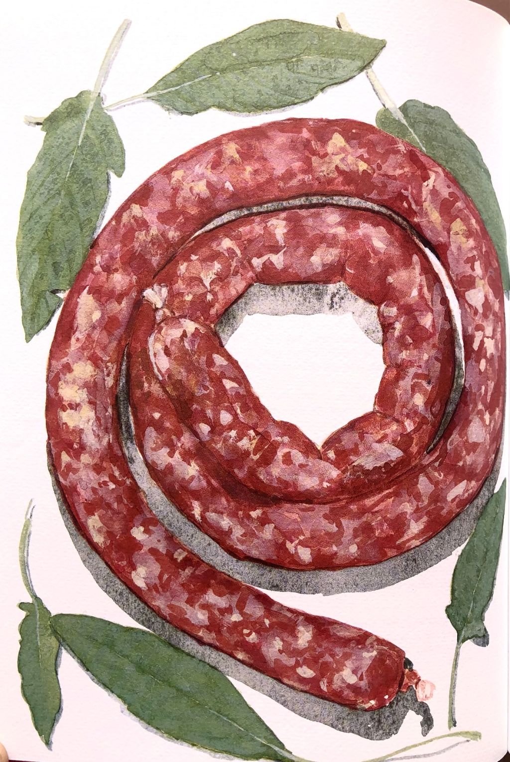 (*NEW ARRIVAL*) (Food Writing) Elizabeth David. Italian Food