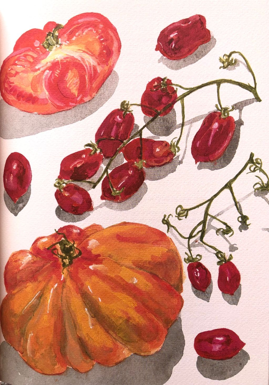 (*NEW ARRIVAL*) (Food Writing) Elizabeth David. Italian Food