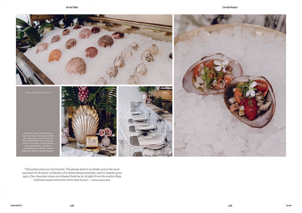 Magazine F Nº 13: Clam