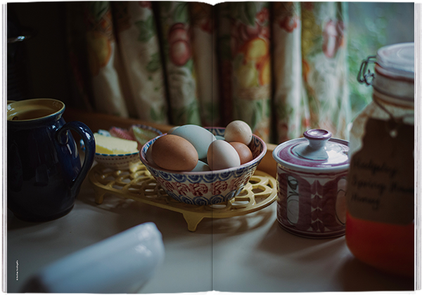 Magazine F Nº 15: Egg