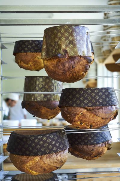 Sourdough Baking: A Treatise (Thomas Teffri-Chambelland)