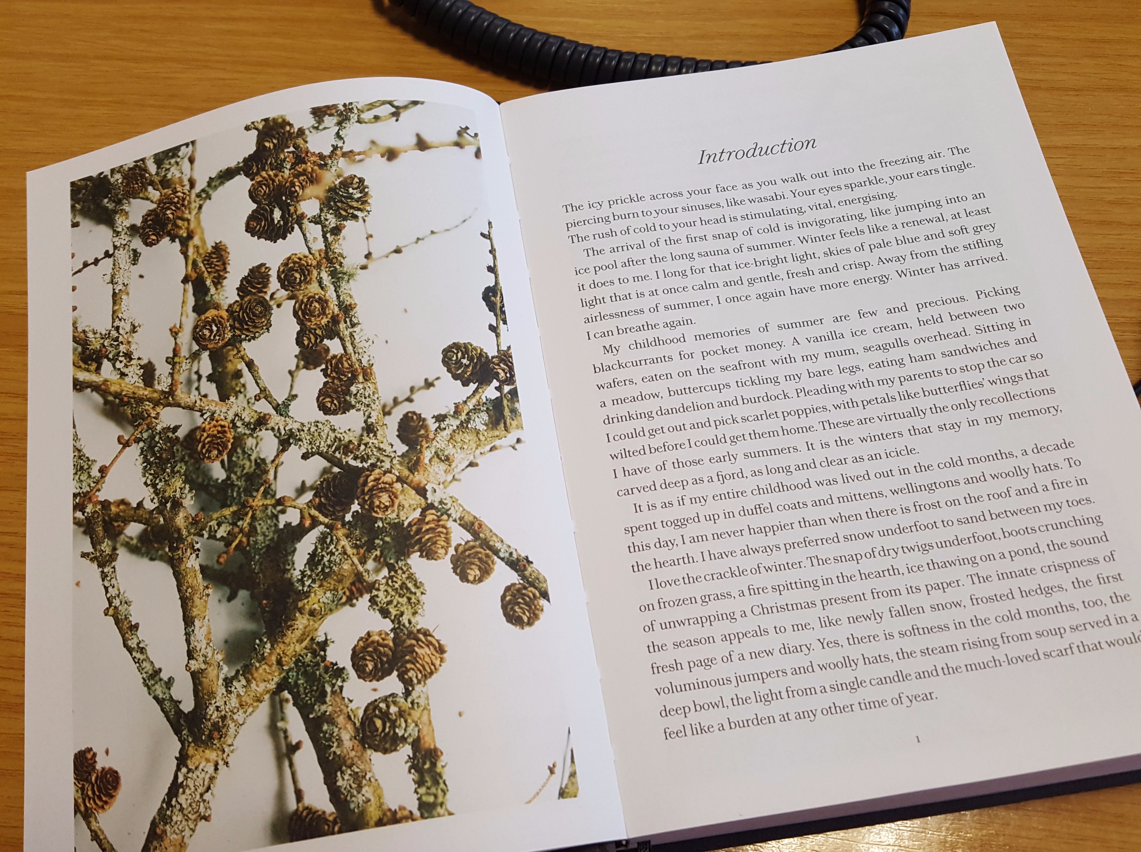 The Christmas Chronicles: Notes, stories & 100 essential recipes for winter (Nigel Slate)