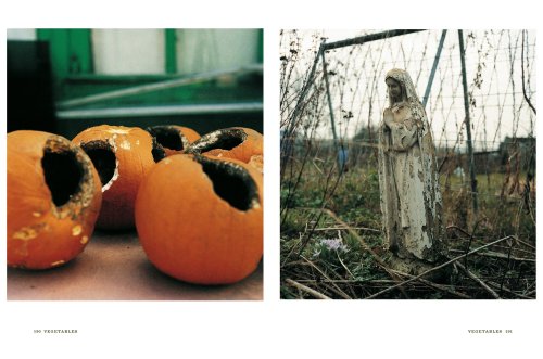 (*NEW ARRIVAL*) (Middle Eastern) Moro East (Samuel Clark and Samantha Clark)