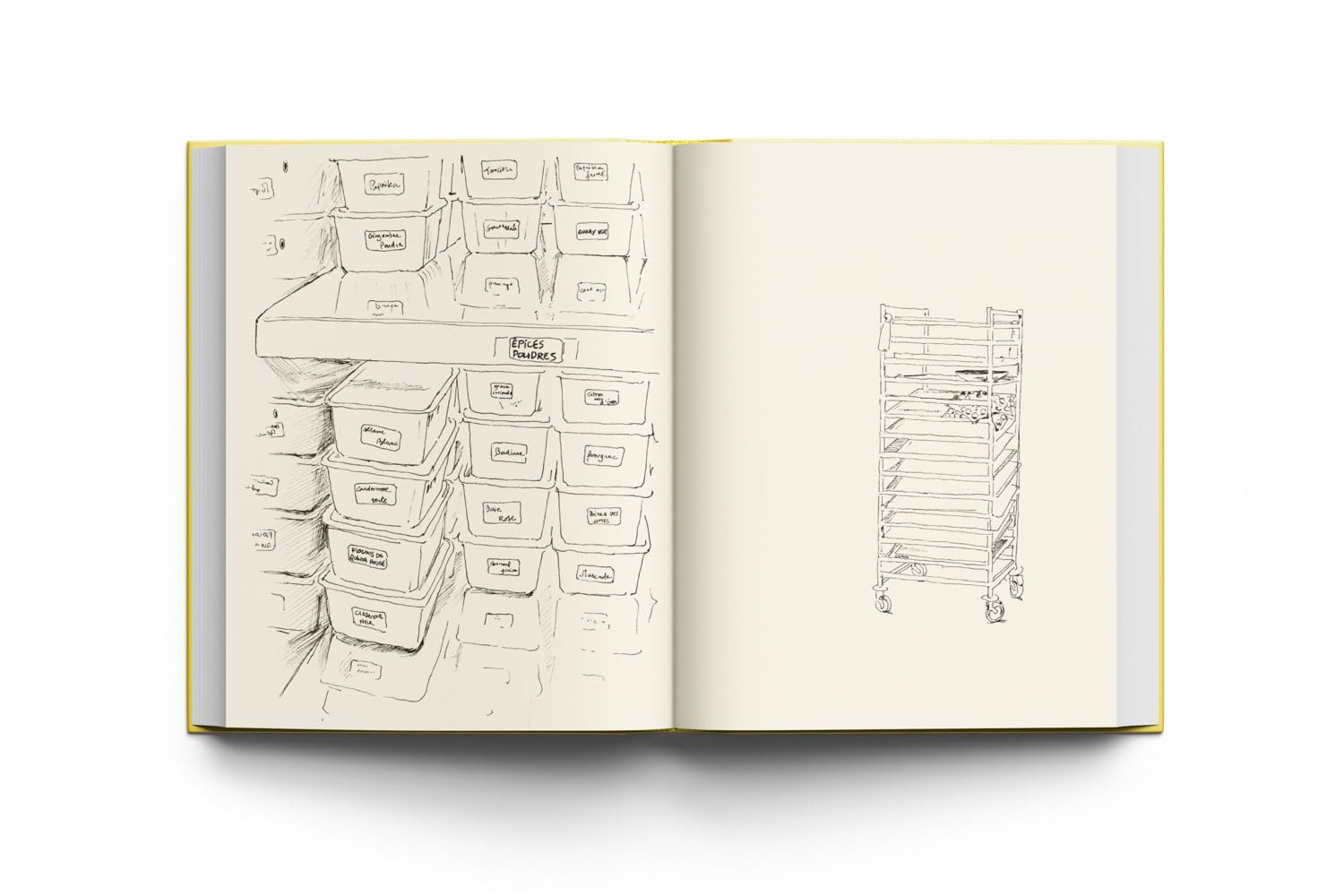 Pierre Gagnaire: A Banquet of Nature: Cooking Art and Ideas (Pierre Gagnaire)