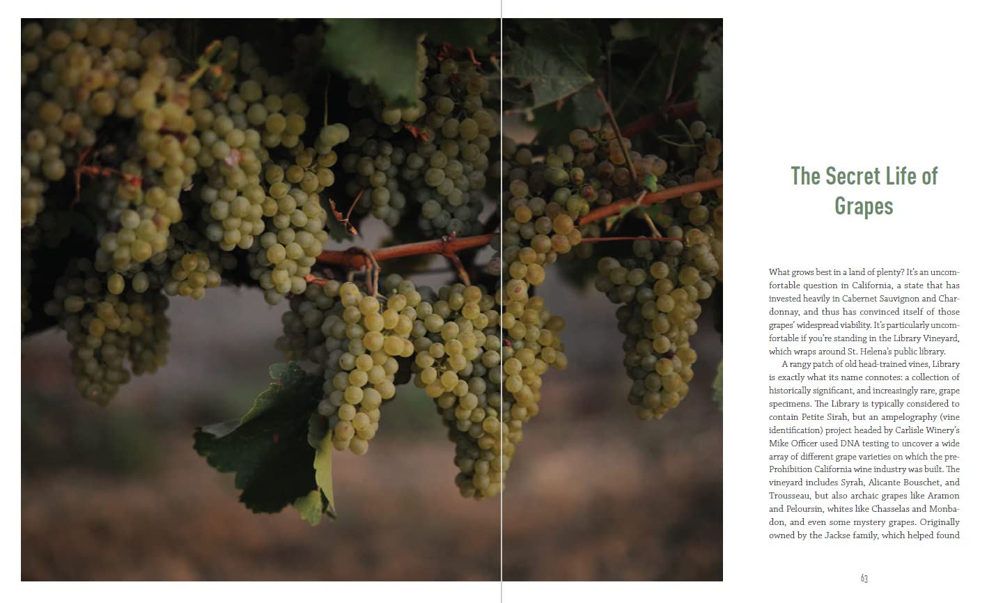 The New California Wine: A Guide to the Producers and Wines Behind a Revolution in Taste (Jon Bonné) *Signed*