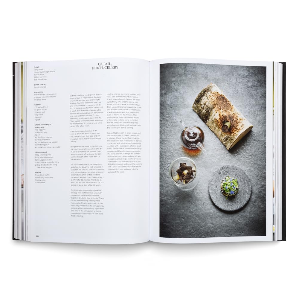 Ikarus Invites the World's Best Chefs: Exceptional Recipes and International Chefs in Portrait: Volume 10 (Martin Klein & Team Ikarus)