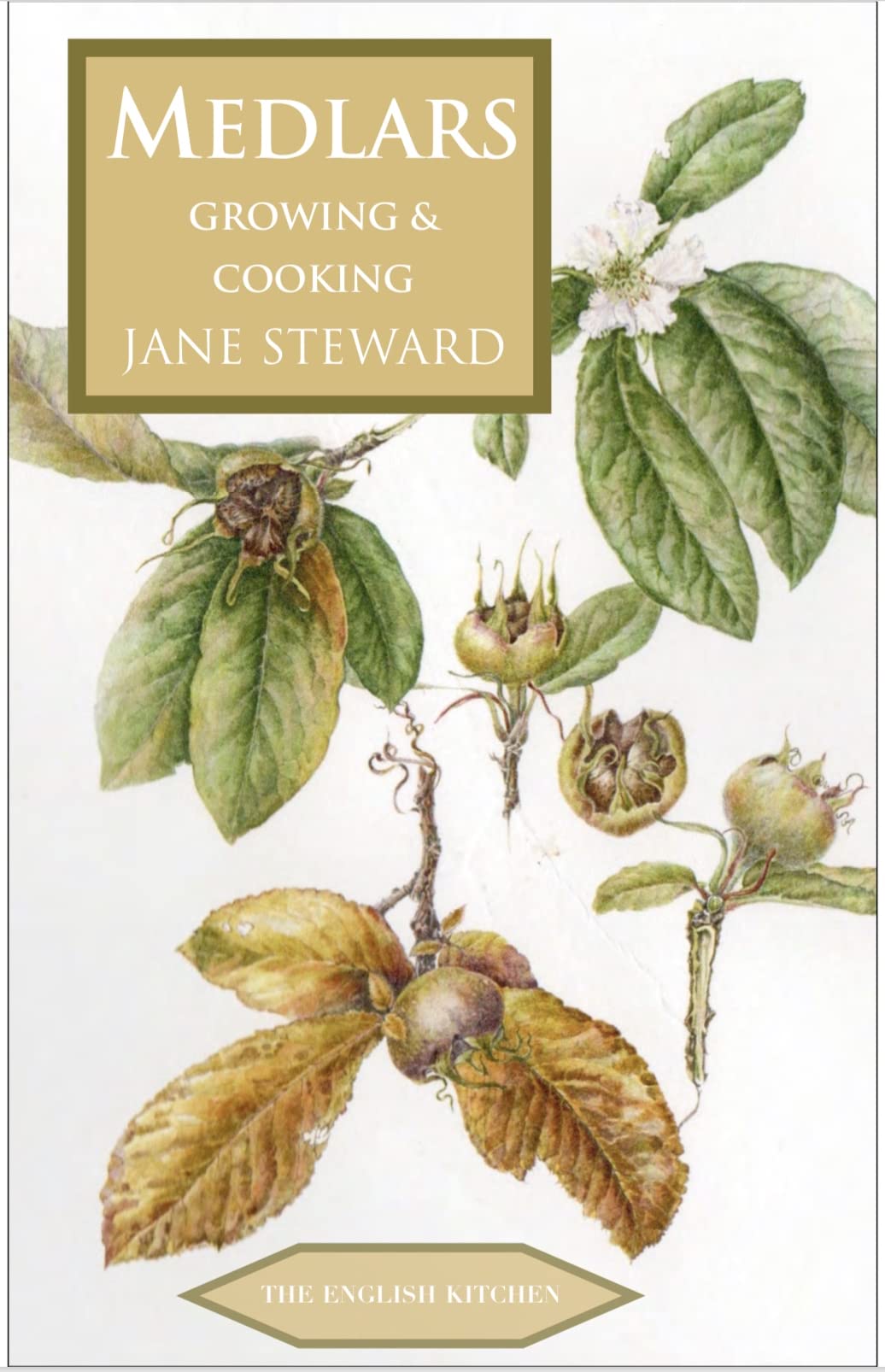 Medlars: Growing and Cooking (Jane Steward)