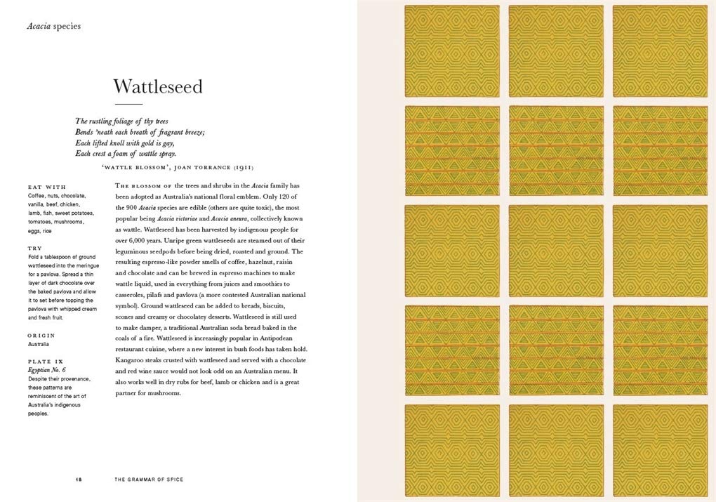 The Grammar of Spice, paperback (Caz Hildebrand)