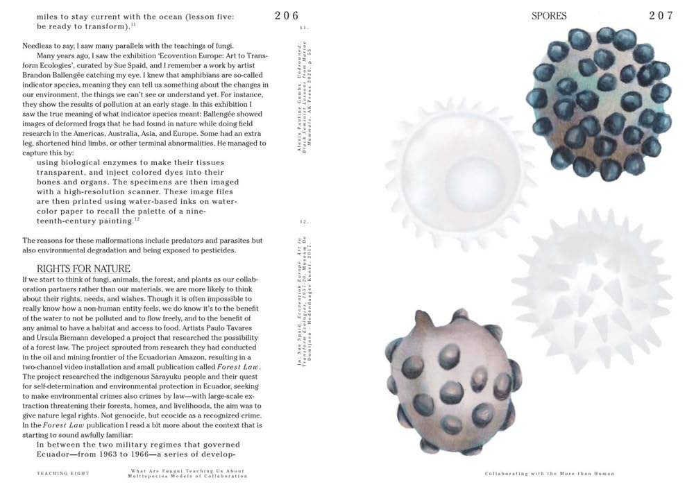 Let's Become Fungal!: Mycelium Teachings and the Arts: Based on Conversations with Indigenous Wisdom Keepers, Artists, Curators, Feminists and Mycologists (Yasmine Ostendorf-Rodríguez)