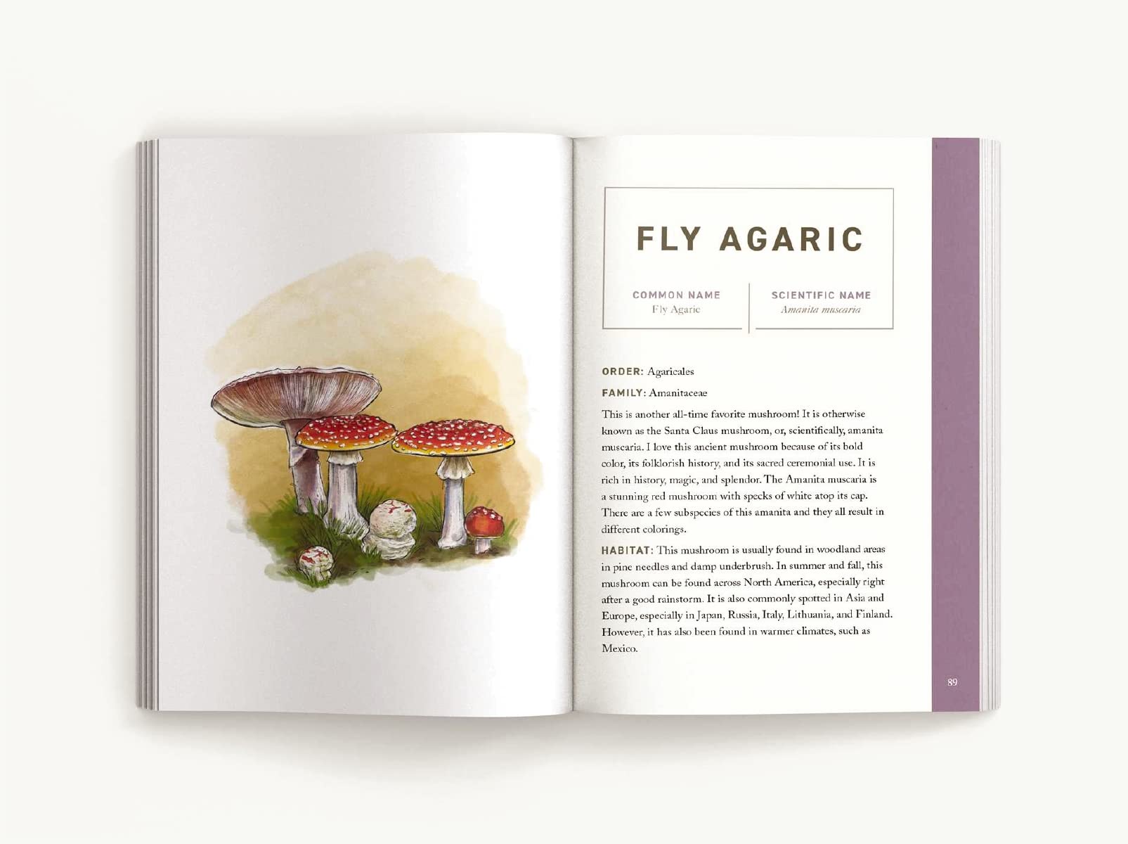 Mushrooms: An Illustrated Field (Niko Summers, June Lee)
