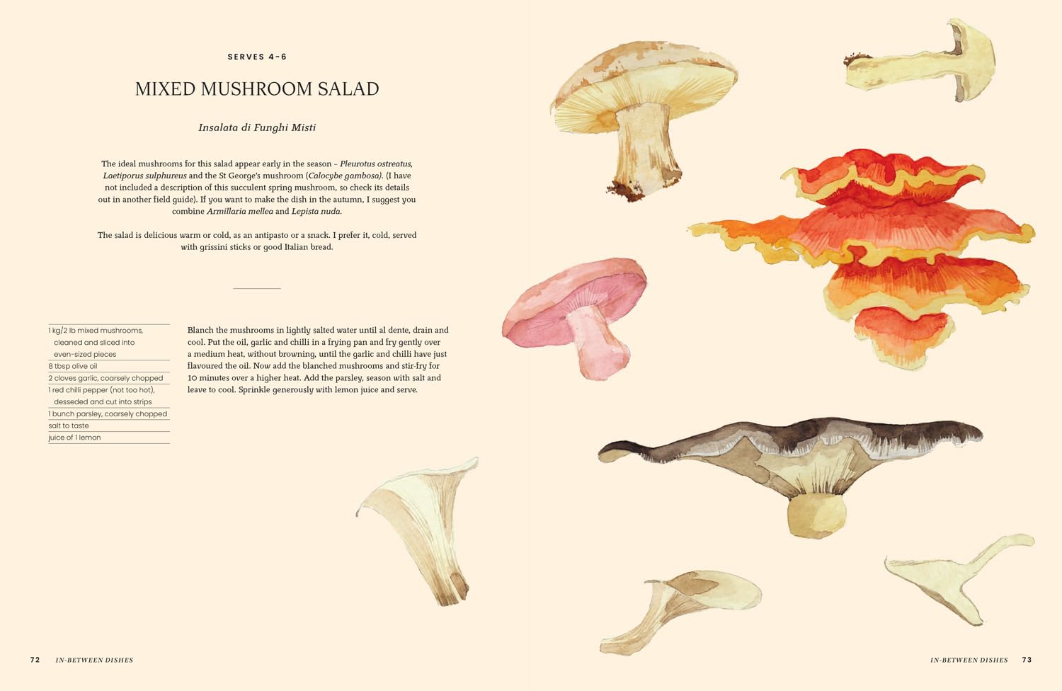A Passion for Mushrooms (Antonio Carluccio)