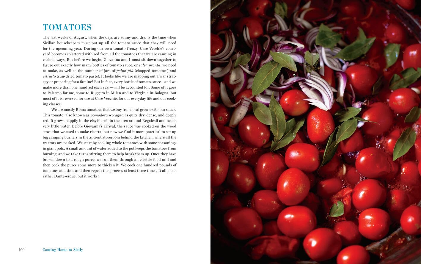 Coming Home to Sicily: Seasonal Harvests and Cooking from Case Vecchie (Fabrizia Lanza, Kate Winslow, Alice Waters)
