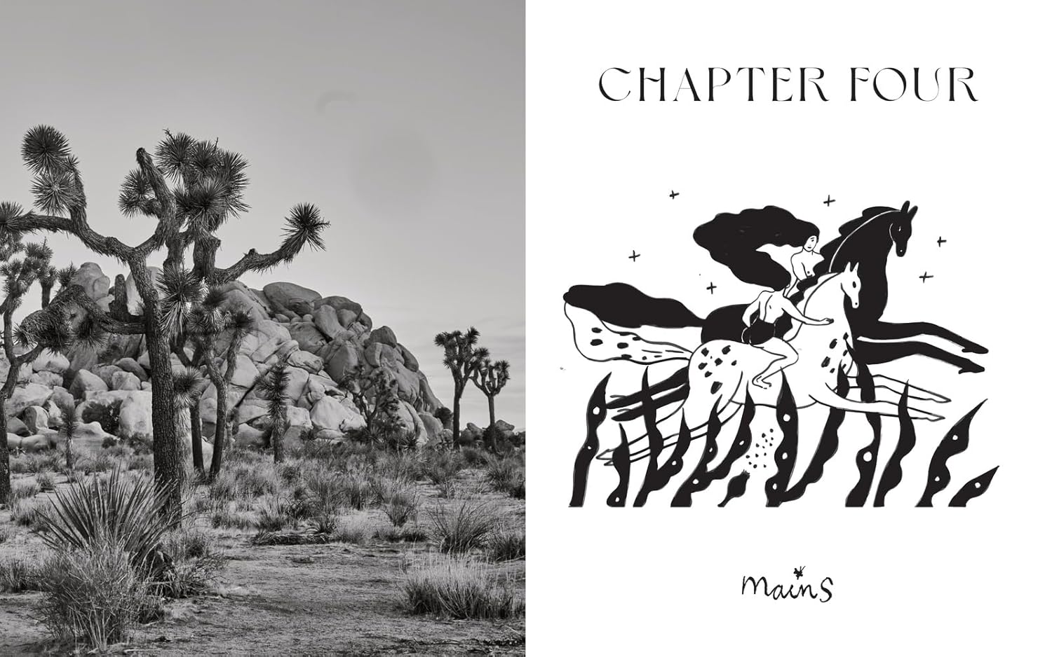 La Copine: New California Cooking from an Oasis in the Desert (Claire Wadsworth, Nikki Hill, Ben Mims) *Signed*