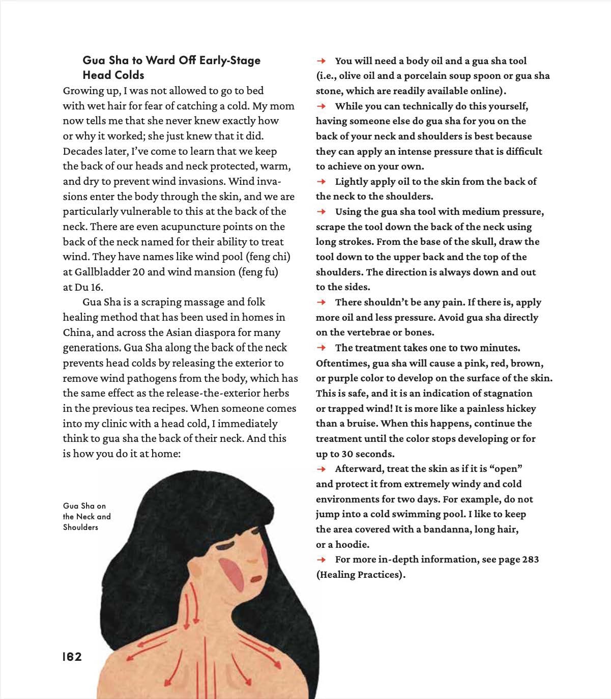 Asian American Herbalism: Traditional and Modern Healing Practices for Everyday Wellness (Erin Masako Wilkins)