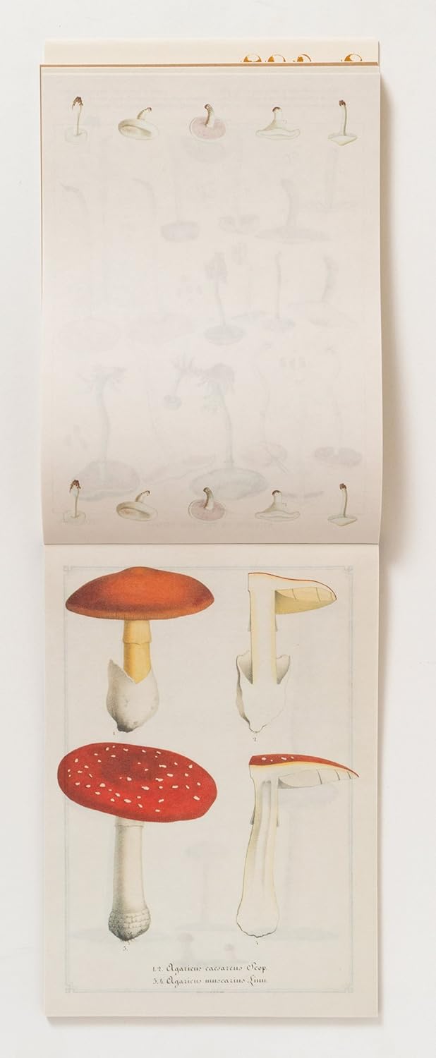 100 Writing and Crafting Papers of Mushrooms (PIE 100 Writing & Crafting Paper Series) (PIE International)