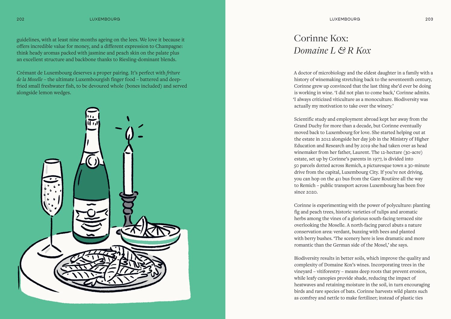 *Pre-order* Drinking the World: A Wine Odyssey (Victoria Brzezinski, Bert Blaize)