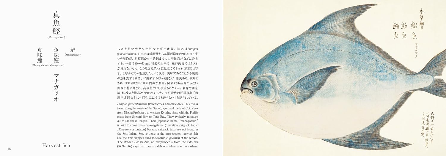 Fishes of Edo: A Guide to Classical Japanese Fishes (Kazuhiko Tajima)