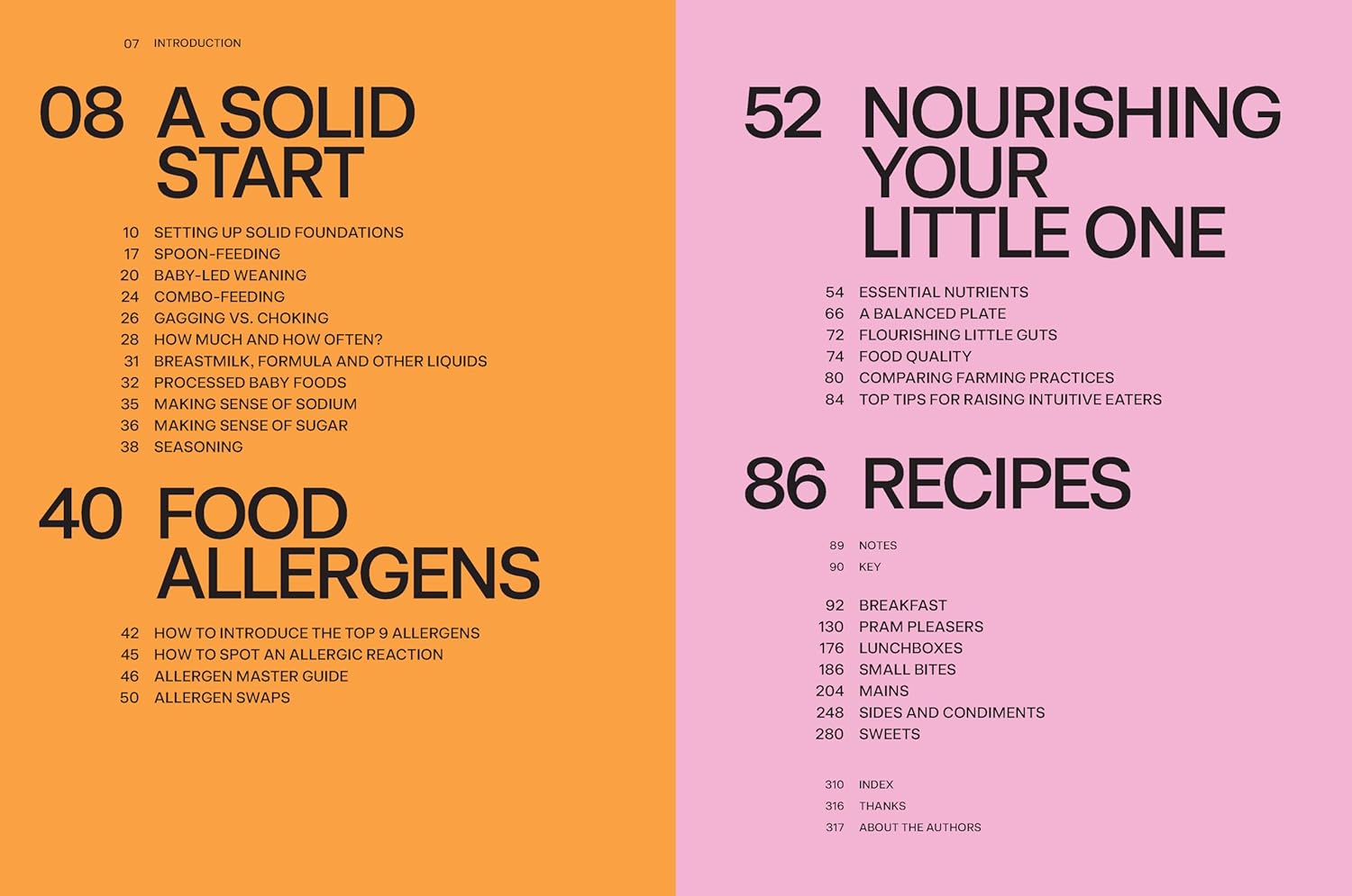 Baby Food Bible: A Nourishing Guide to Feeding Your Family, From First Bite and Beyond (Julia Tellidis, Lauren Skora)