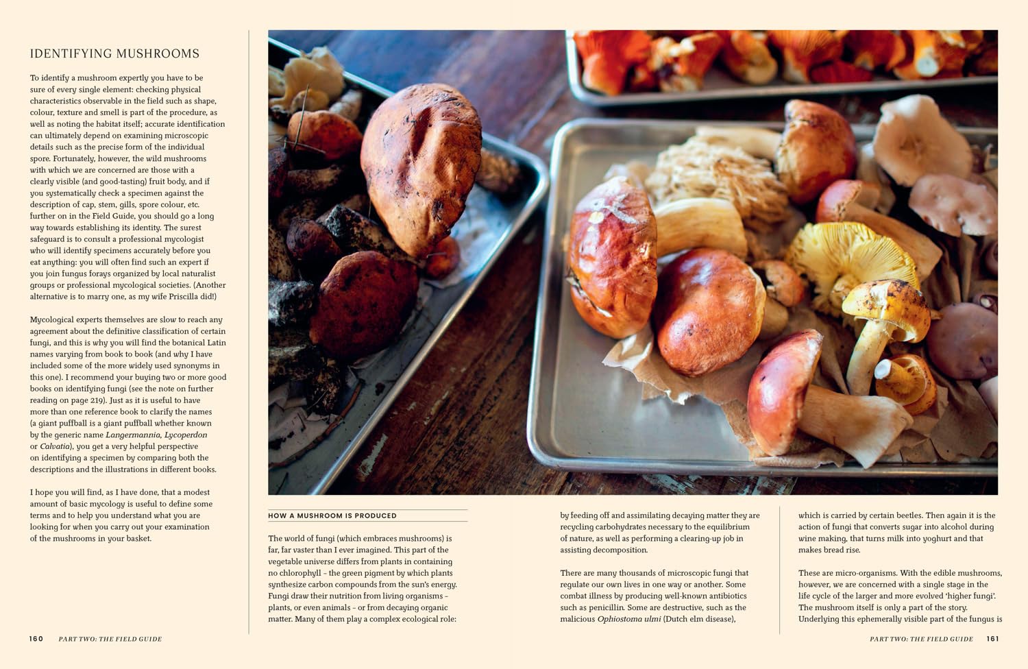 A Passion for Mushrooms (Antonio Carluccio)
