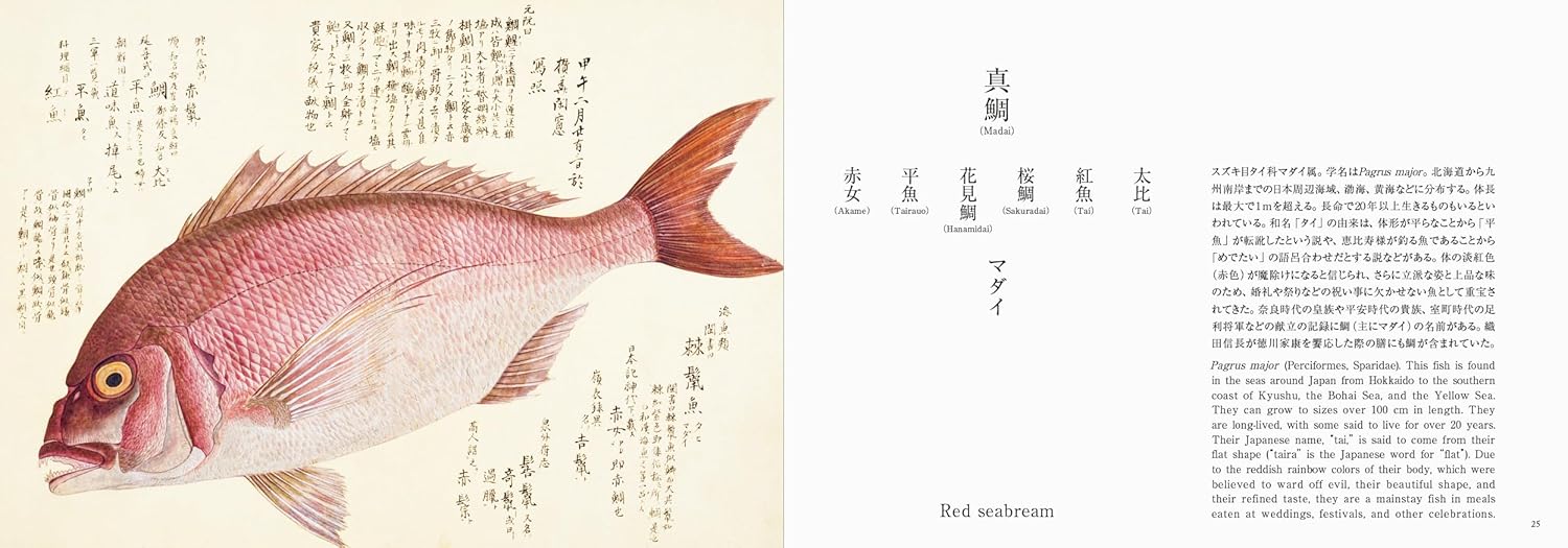 Fishes of Edo: A Guide to Classical Japanese Fishes (Kazuhiko Tajima)