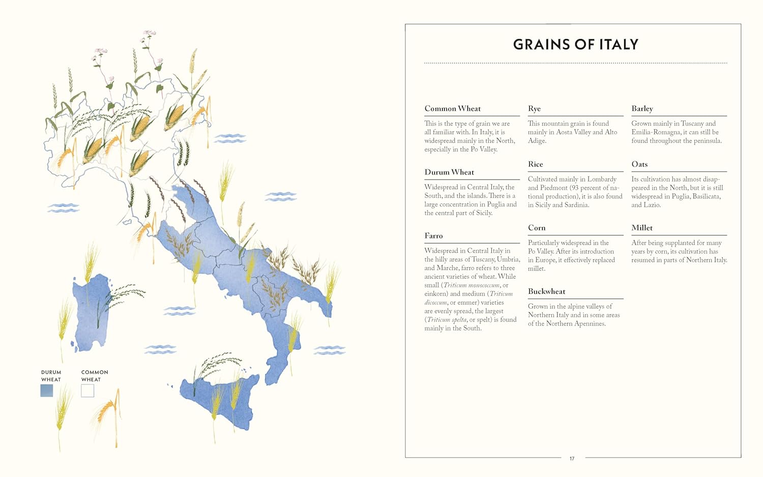 Mastering Italian Breads: Recipes and Techniques from Italy's Most Celebrated Breadmaker (Fulvio Marino)