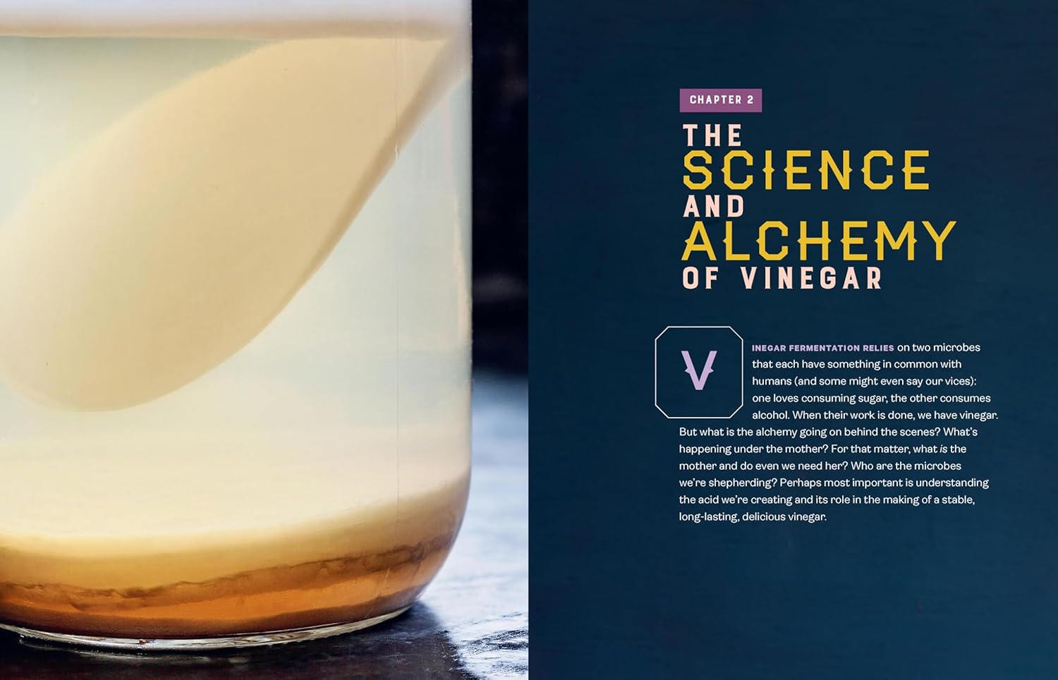 Homebrewed Vinegar (Kirsten K. Shockey)