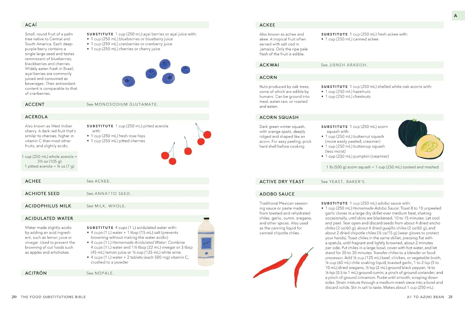 The Food Substitutions Bible: 8,000 Substitutions for Ingredients, Equipment and Techniques (David Joachim)