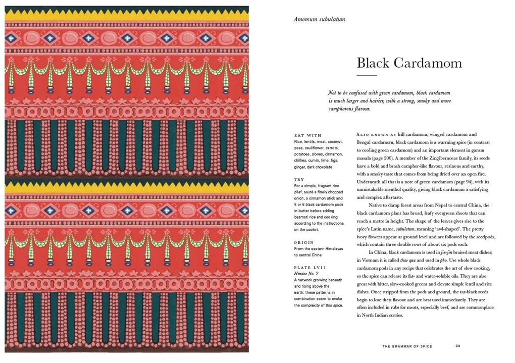 The Grammar of Spice, paperback (Caz Hildebrand)