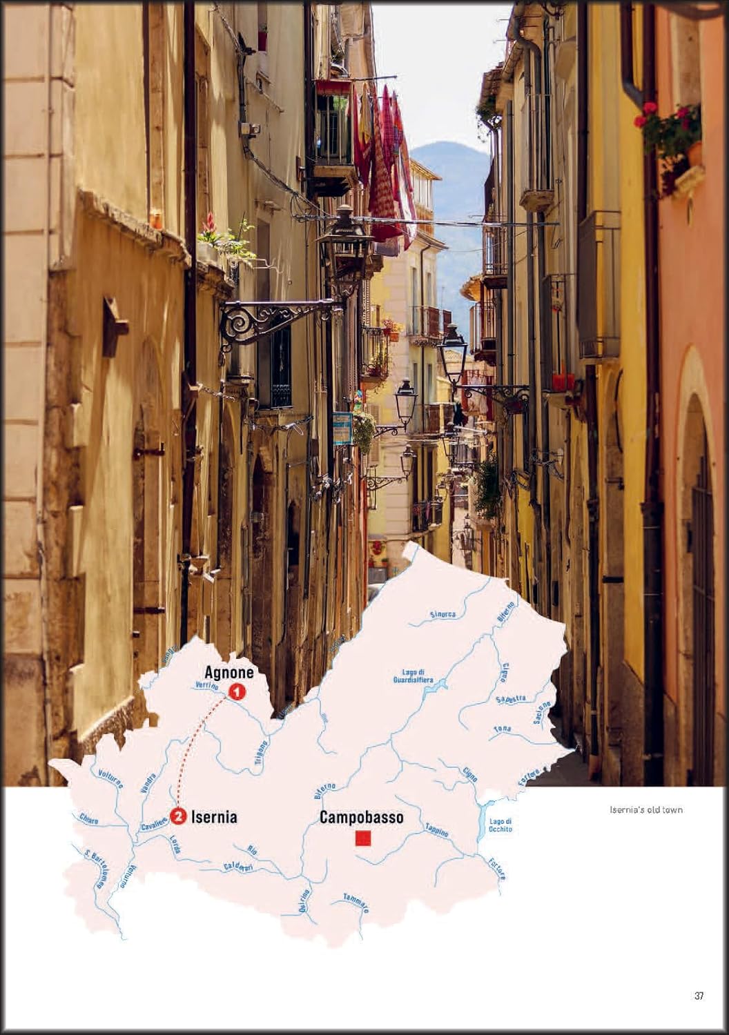 Italia con gusto e amore: Road Trip to the Roots of Italian cuisine (Annette Canini Daems)