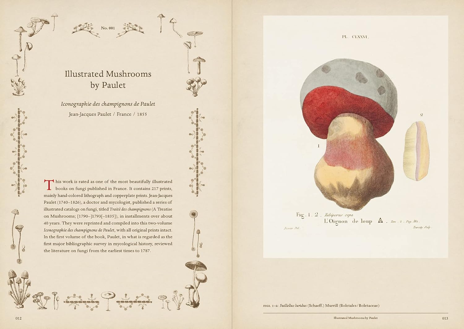 Mushroom Botanical Art (Toshimitsu Fukiharu)