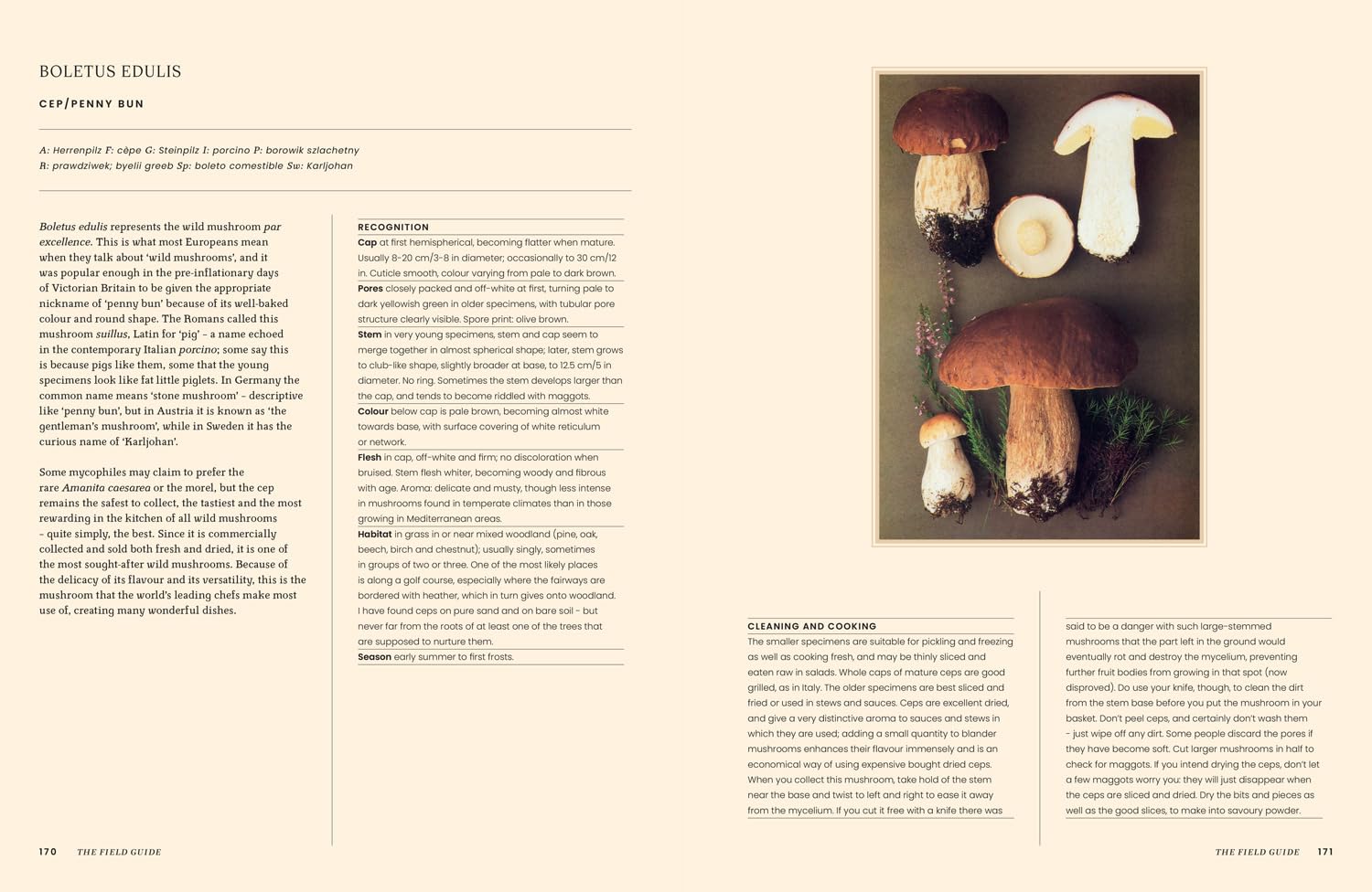 *Pre-order* A Passion for Mushrooms: A Comprehensive Cookbook and Foraging Field Guide for Mushroom Enthusiasts (Antonio Carluccio)