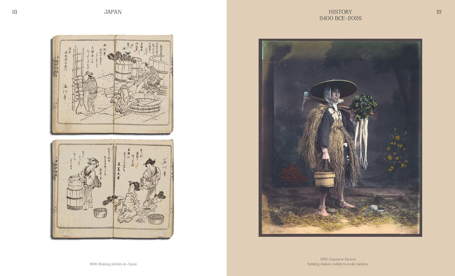 *Pre-order* The Pickled City: The Story of New York Pickles (Paul van Ravestein, Monique Mulder)