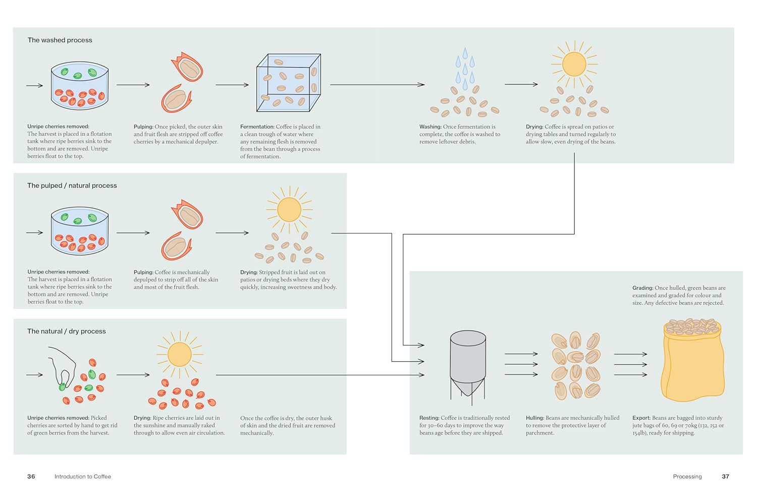 The World Atlas of Coffee, 3rd edition: From beans to brewing – coffees explored, explained and enjoyed (James Hoffmann)