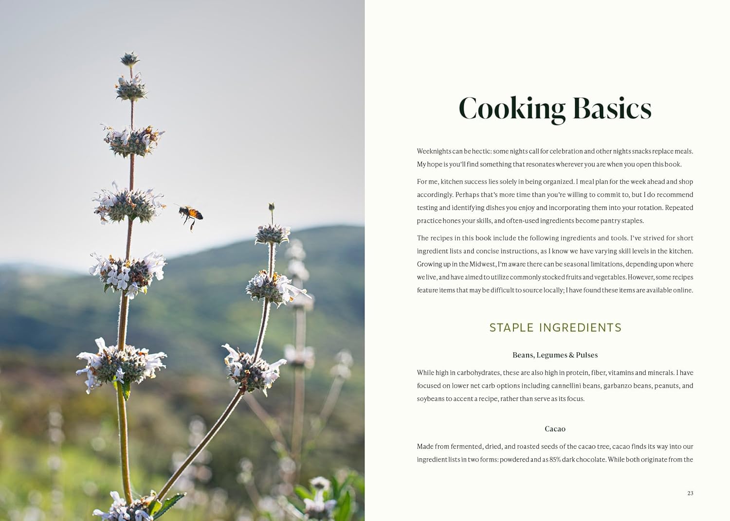 For Good Measure: A Diabetic Cookbook (Jennifer Shun)