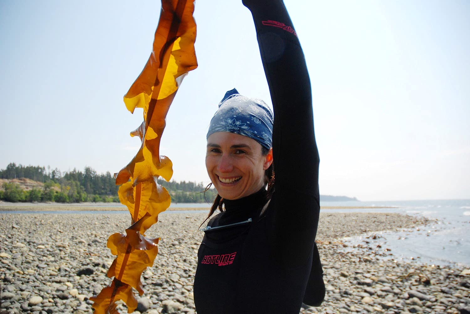 The Science and Spirit of Seaweed: Discovering Food, Medicine and Purpose in the Kelp Forests of the Pacific Northwest (Amanda Swinimer)