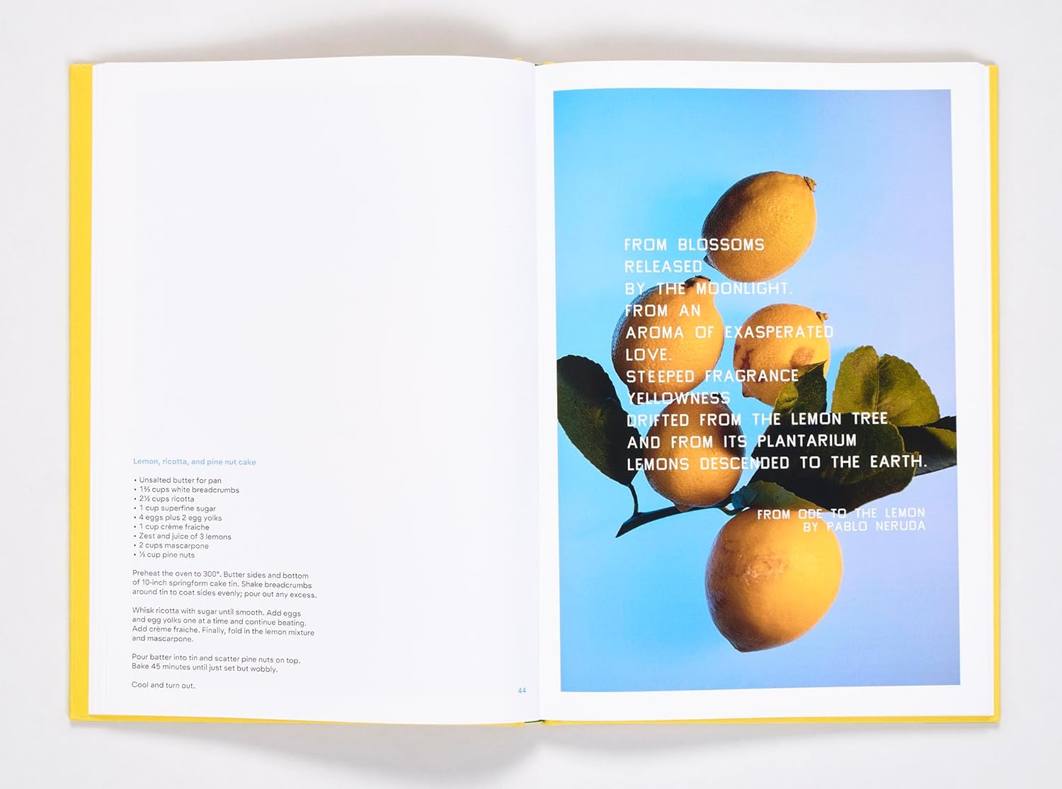 Squeeze Me: Lemon Recipes & Art (Ruth Rogers and Ed Ruscha)