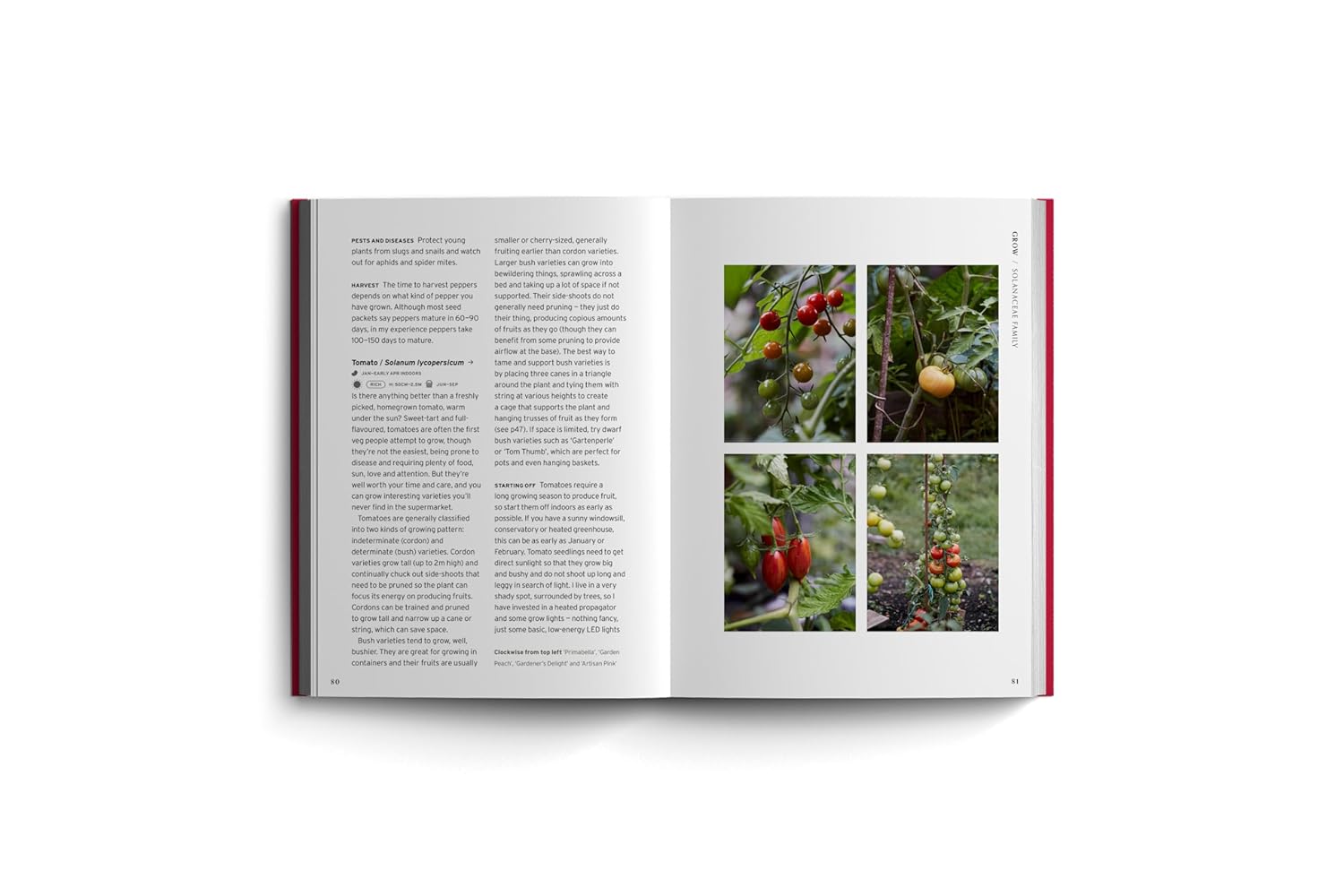 Edible Garden: Bloom Gardener's Guide: Feed the ground, sow seed, care for the crops, gather, pick and feast (Volume 7) (Vicky Chown)
