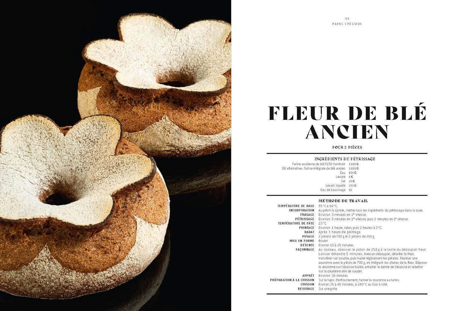 Le Grand Livre de la Boulangerie - Viennoiserie - L'intégrale en 200 recettes (Jean-marie Lanio, Thomas Marie, Patrice Mitaille, Brian Boclet, Olivier Magne, Jérémy Ballester)