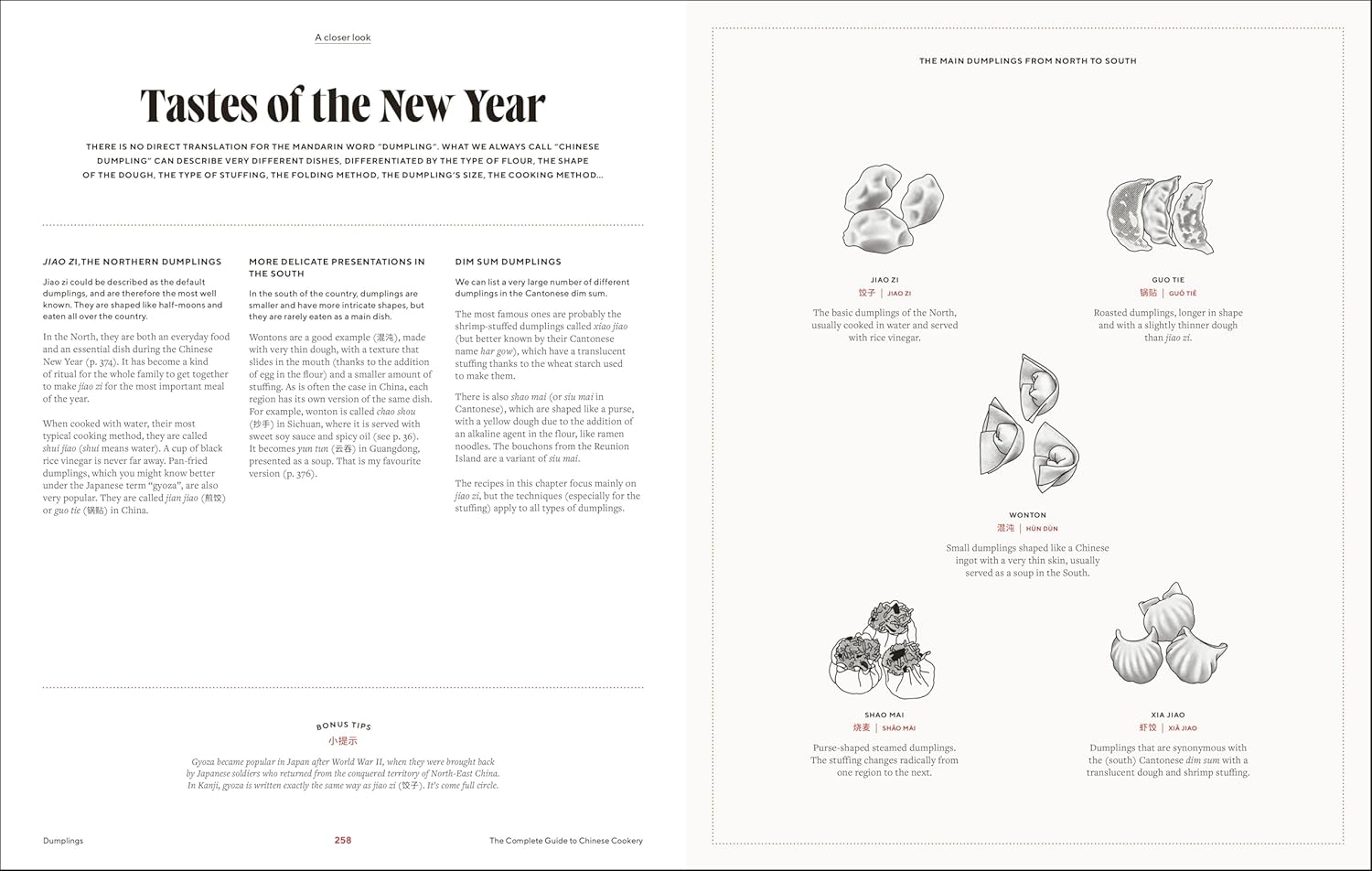 The Guide to Chinese Cooking: A Journey Through China's Favorite Dishes (Handa Cheng)