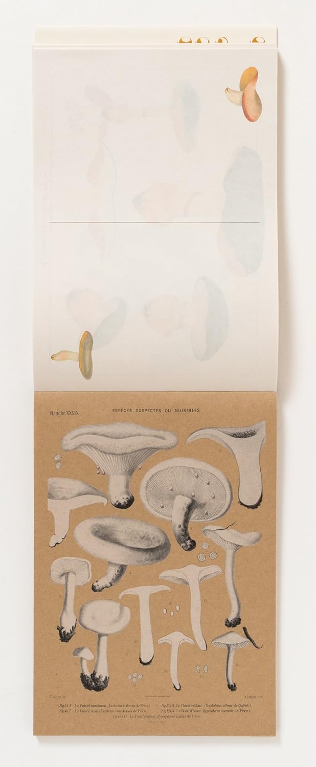 100 Writing and Crafting Papers of Mushrooms (PIE 100 Writing & Crafting Paper Series) (PIE International)