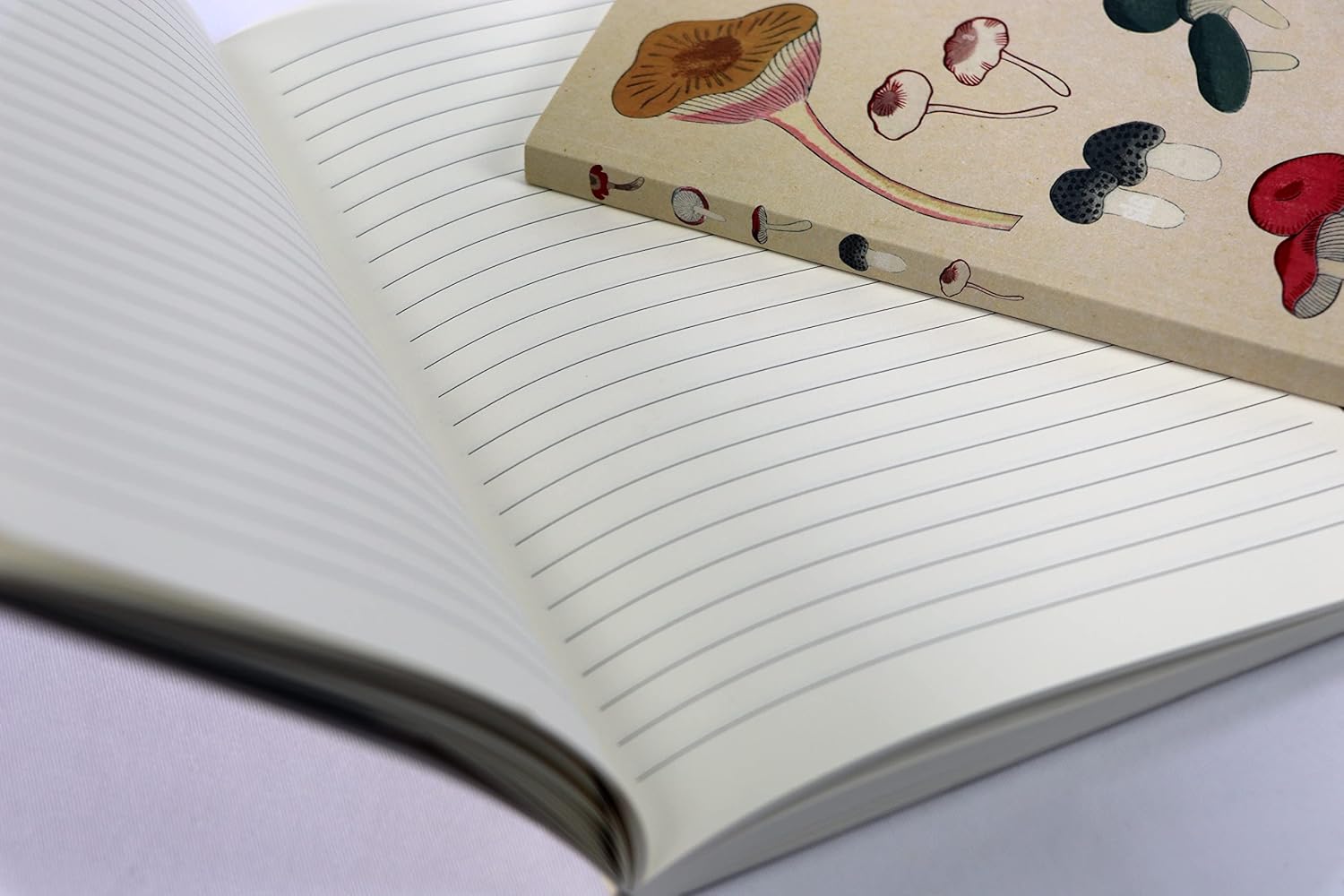 Healing Mushrooms Lined Paperback Journal: Blank Notebook with Pocket