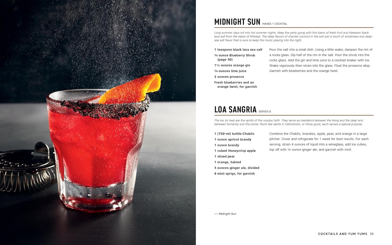 Modern Creole: A Taste of New Orleans Culture and Cuisine Hardcover (Eric Cook)