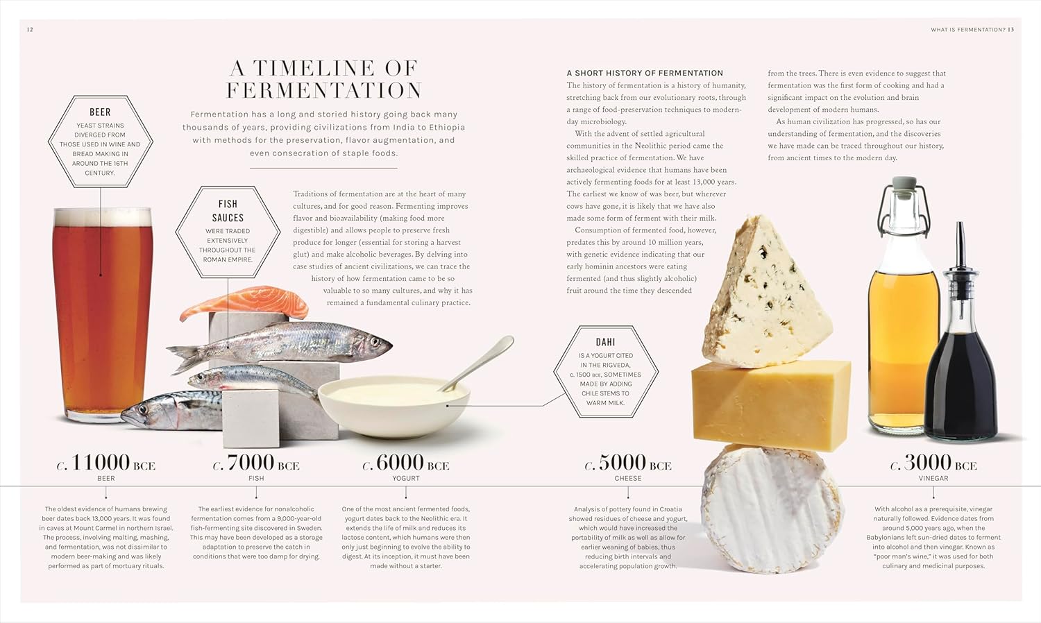 The Science of Fermentation by (Robin Sherriff)