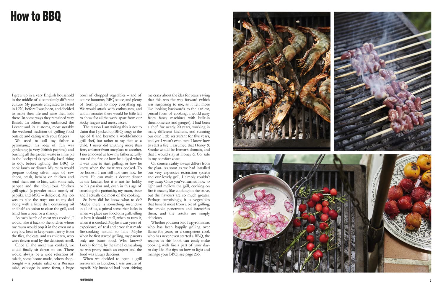 Chasing Smoke: Cooking over Fire Around the Levant (Honey & Co, Sarit Packer, Itamar Srulovich)