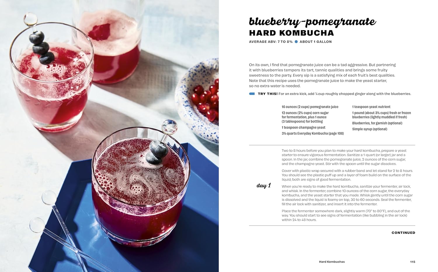 Hard Seltzer, Iced Tea, Kombucha, and Cider: How to Make Your Own Boozy Fermented Drinks (Emma Christensen)