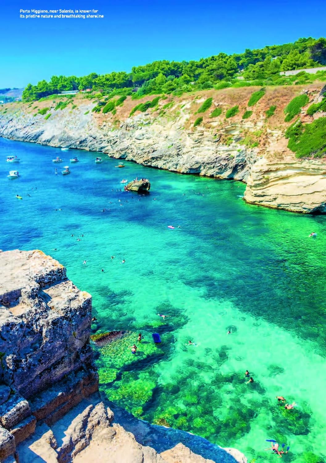 Italia con gusto e amore: Road Trip to the Roots of Italian cuisine (Annette Canini Daems)