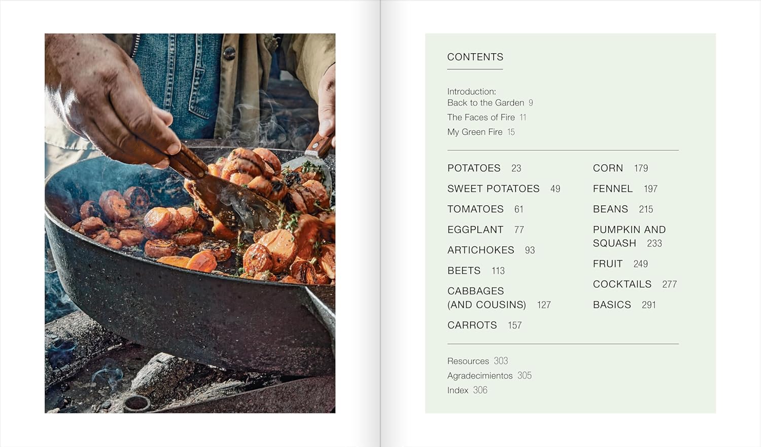 Green Fire: Extraordinary Ways to Grill Fruits and Vegetables, from the Master of Live-Fire Cooking (Francis Mallmann, Peter Kaminsky, Donna Gelb)