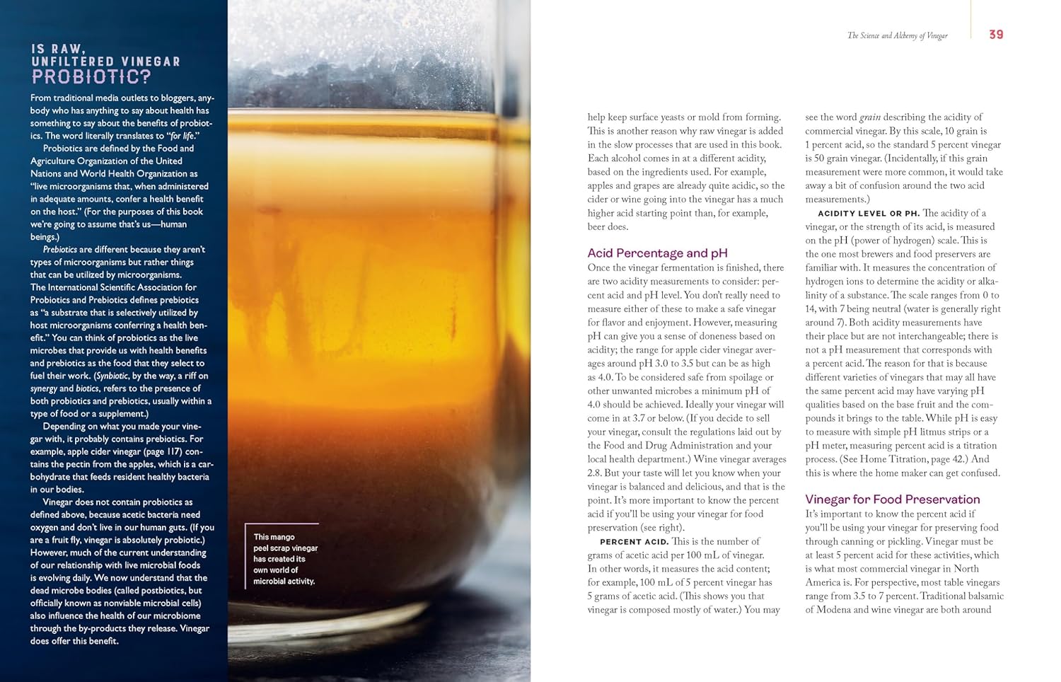 Homebrewed Vinegar (Kirsten K. Shockey)