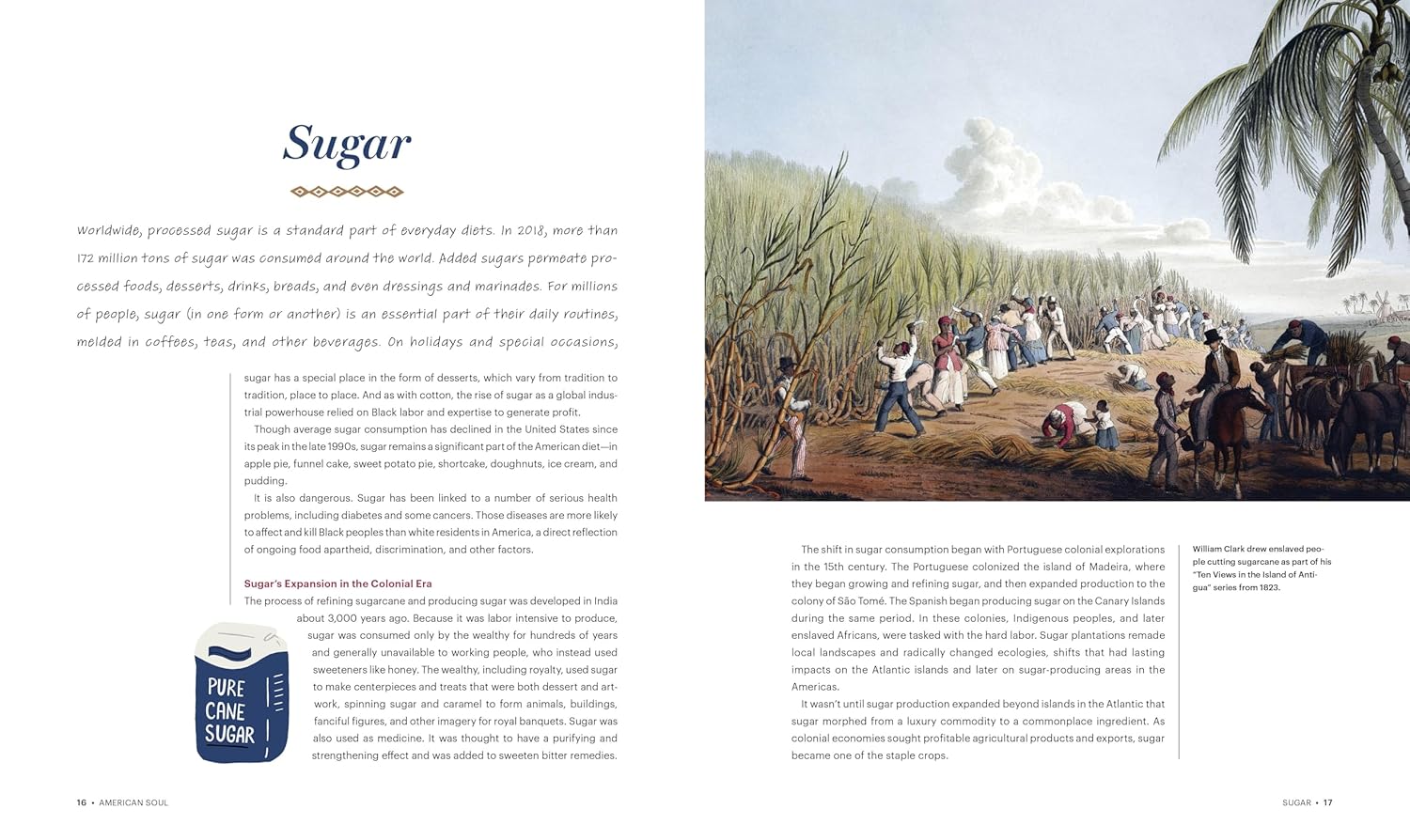 American Soul: The Black History of Food in the United States (Anela Malik and Renae Wilson)
