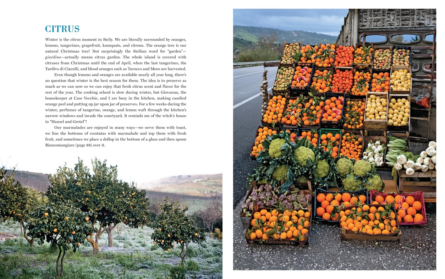 Coming Home to Sicily: Seasonal Harvests and Cooking from Case Vecchie (Fabrizia Lanza, Kate Winslow)